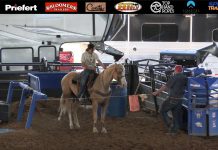 Update on Bumble Bee