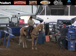 Update on Bumble Bee