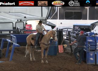 Update on Bumble Bee