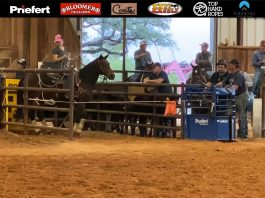 Hali Runs at Morgan Mill Won 2nd