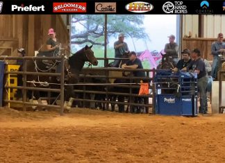 Hali Runs at Morgan Mill Won 2nd