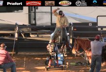 American Rope Horse Futurity