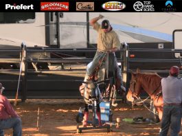 American Rope Horse Futurity