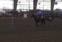 Hali and Gabe Rodeos 5 and 6