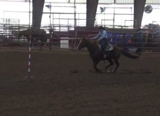 Hali and Gabe Rodeos 5 and 6