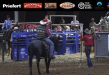 Working on Catching Two Feet Heeling