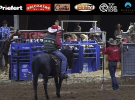 Working on Catching Two Feet Heeling