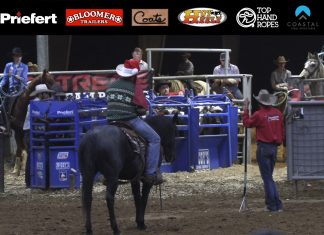 Working on Catching Two Feet Heeling