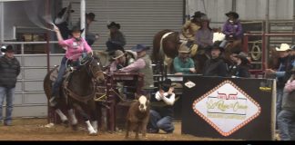 Hali Runs at the Rope for the Crown