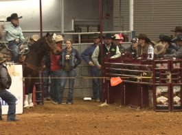 Hali Runs in the 19 and Under Glen Rose