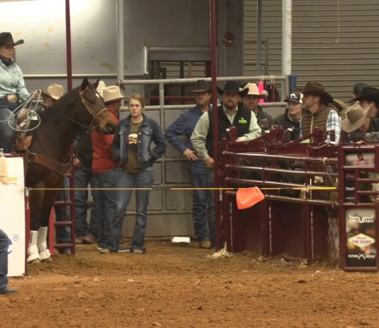 Hali Runs in the 19 and Under Glen Rose