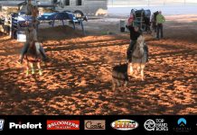 Working with Tee Woolman Heeling