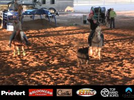 Working with Tee Woolman Heeling