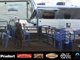 Working with a 9 plus Heeler