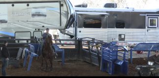 Working with a 9 plus Heeler