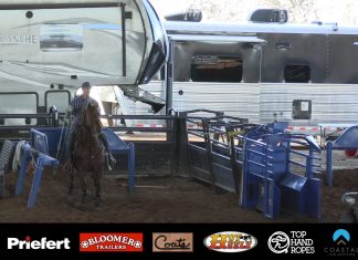 Working with a 9 plus Heeler