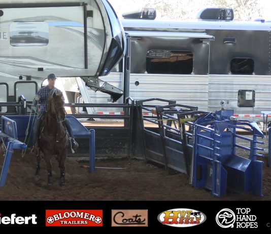 Working with a 9 plus Heeler