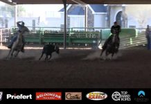 Speedroping Update Feb 18th