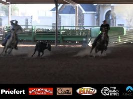 Speedroping Update Feb 18th