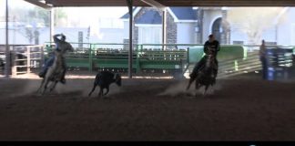 Speedroping Update Feb 18th