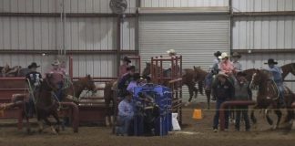 Hali and Gabe rodeo for 2 27