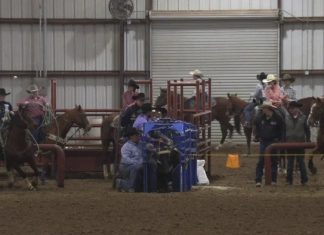 Hali and Gabe rodeo for 2 27