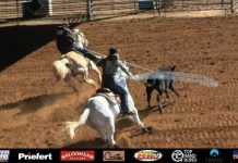 Working with a 9 Heeler