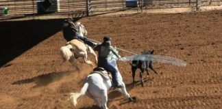 Working with a 9 Heeler