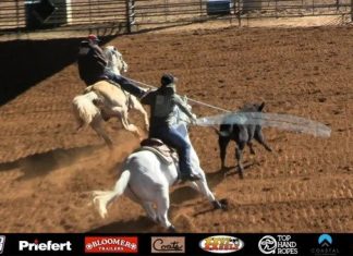 Working with a 9 Heeler