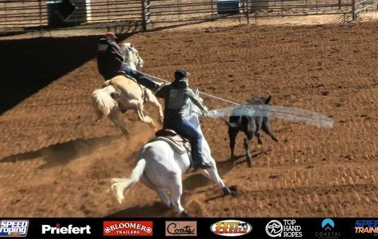 Working with a 9 Heeler