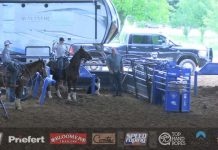 Hali runs in Breakaway 19 under open at Alvarado 5/31