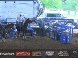 Hali runs in Breakaway 19 under open at Alvarado 5/31