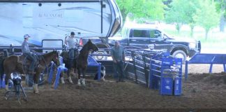 Hali runs in Breakaway 19 under open at Alvarado 5/31