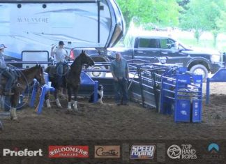 Hali runs in Breakaway 19 under open at Alvarado 5/31