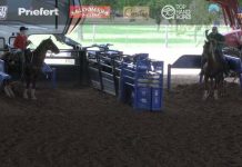 Taking the Crew to Stockyards Championship Rodeo