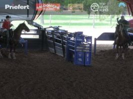Taking the Crew to Stockyards Championship Rodeo