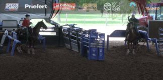 Taking the Crew to Stockyards Championship Rodeo