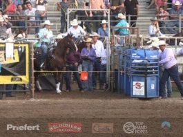 Hali Runs at Shawnee