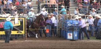 Hali Runs at Shawnee