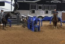 Our second trip to Ft. Worth rodeo – 8-6-21