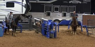Our second trip to Ft. Worth rodeo – 8-6-21