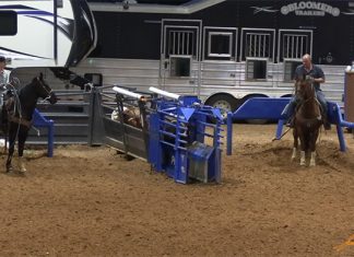 Our second trip to Ft. Worth rodeo – 8-6-21