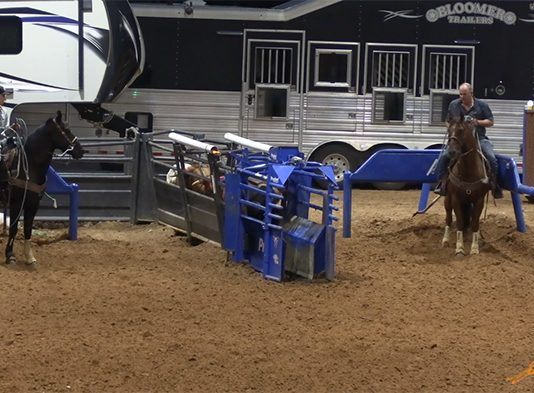 Our second trip to Ft. Worth rodeo – 8-6-21