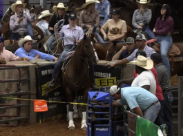 Hali wins Joe Beaver Open Breakaway in Glen Rose, TX Hali, Open Breakaway, Glen Rose TX