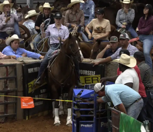 Hali wins Joe Beaver Open Breakaway in Glen Rose, TX Hali, Open Breakaway, Glen Rose TX