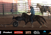 Update on Blaze Last 30 days