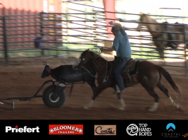 Update on Blaze Last 30 days