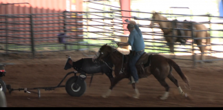 Update on Blaze Last 30 days