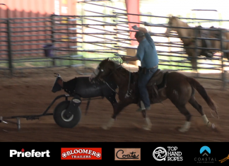 Update on Blaze Last 30 days