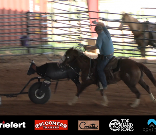 Update on Blaze Last 30 days